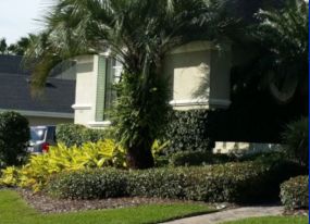 Landscaping Lakeland FL